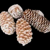 Decoratiemix | Action NL
