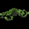 Excellent Flowers hangplant in pot | Action NL