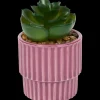 Kunstvetplantje in pot | Action NL