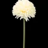The Hamptons Collections HOME bolchrysant op steel | Action NL
