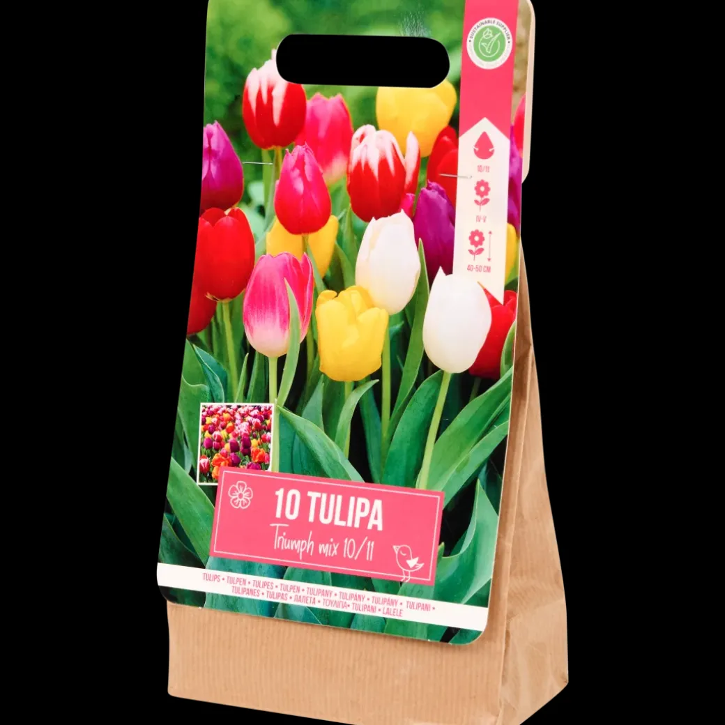 Tulpenbollen | Action NL